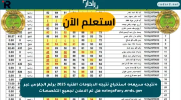 «نتيجة سريعة» استخراج نتيجة الدبلومات الفنية 2025 برقم الجلوس عبر nategaFany.emis.gov هل تم الإعلان لجميع التخصصات